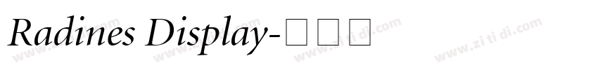 Radines Display字体转换